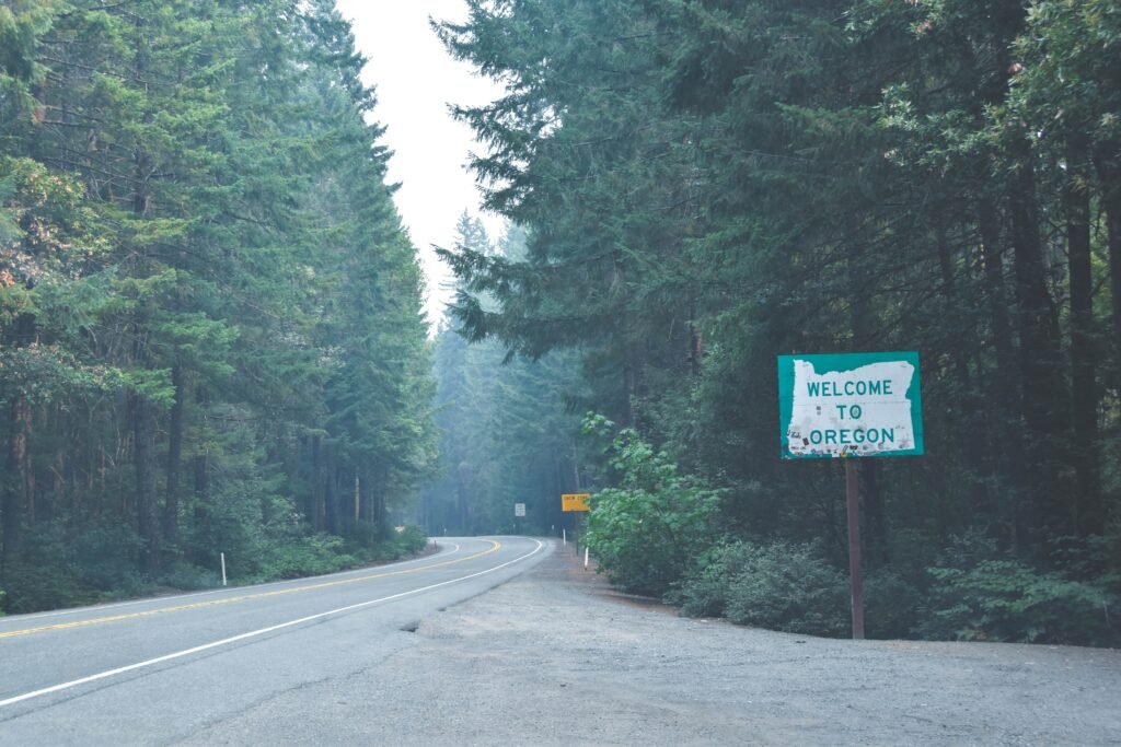 Oregon road through the Coast Range
